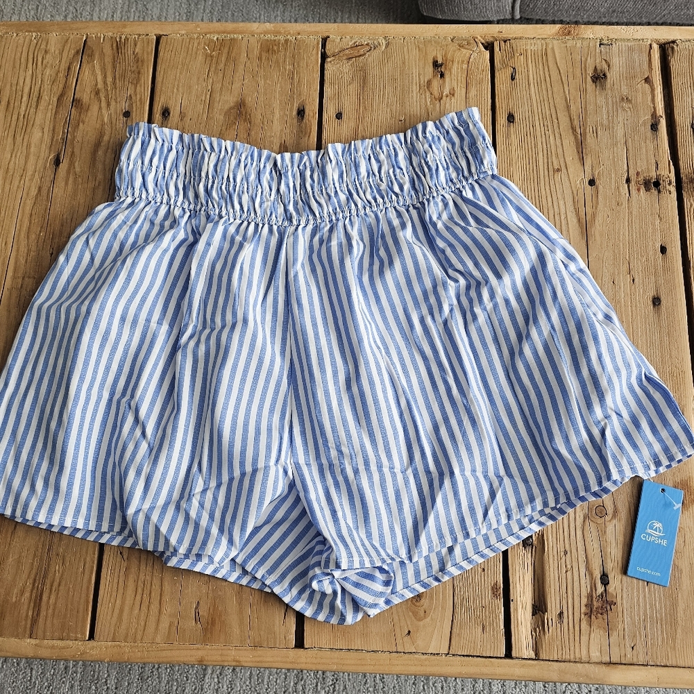 Blue Striped Women's Shorts